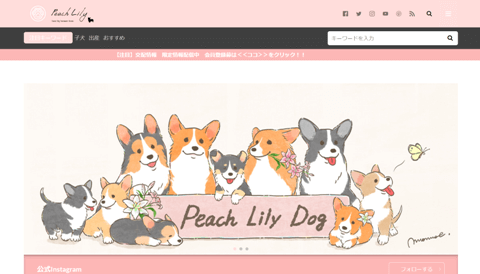 Peach Lily Dog